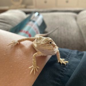 Meet your Posher, Lydia